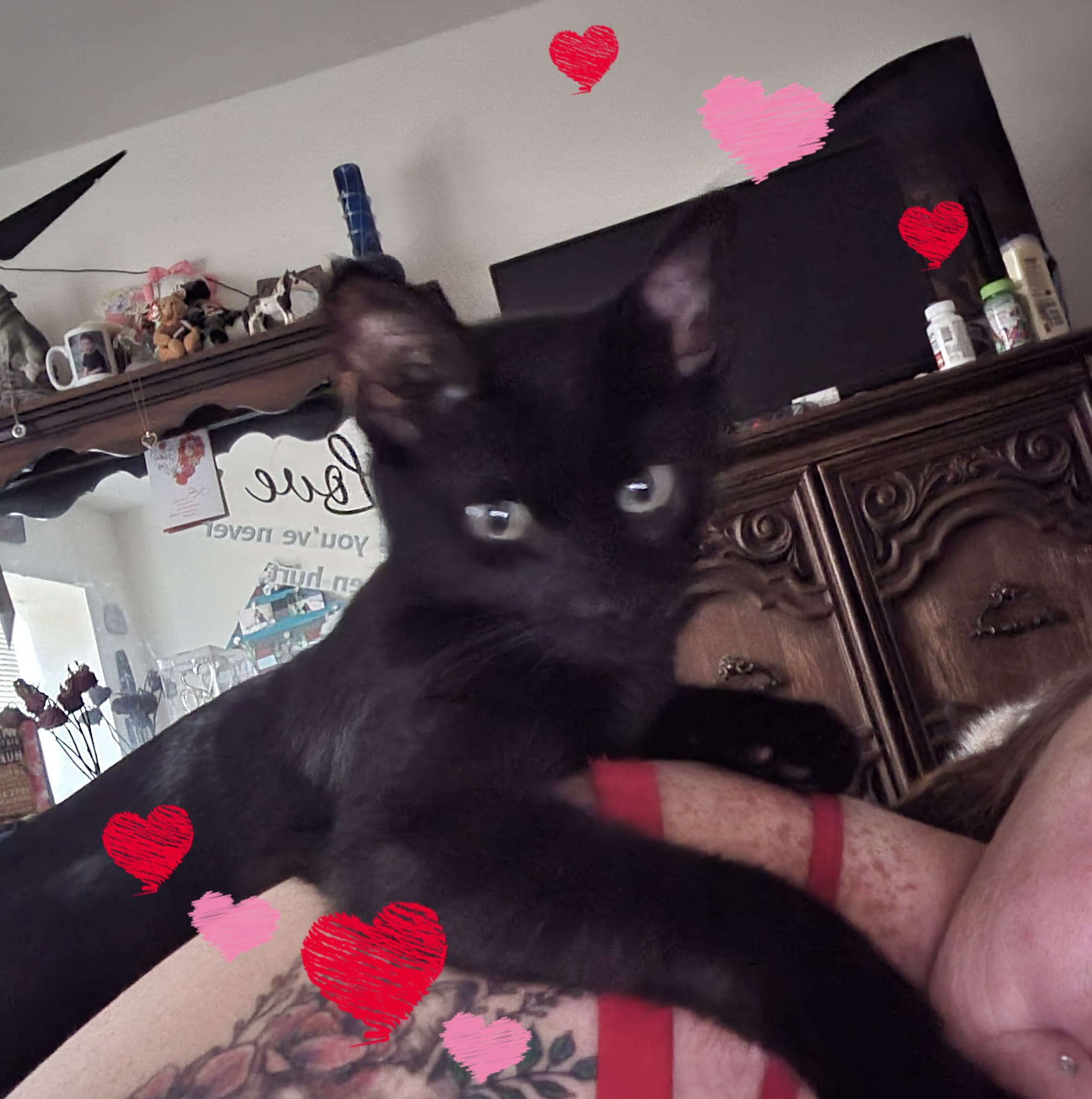 Picture of Jammie Lynn