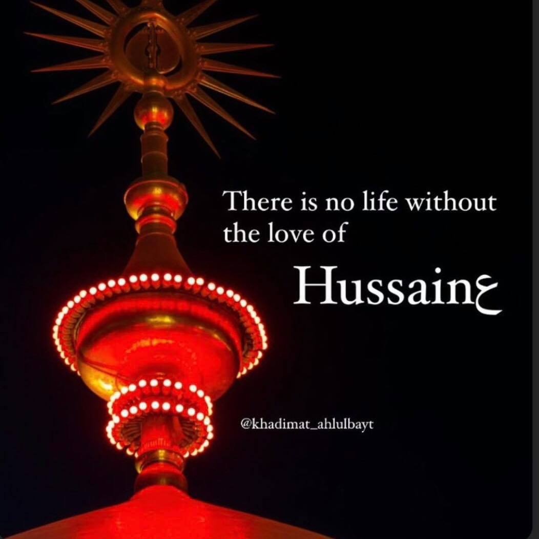 Picture of Samreen Sajid