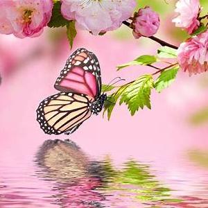 Picture of Grace Amy Lee