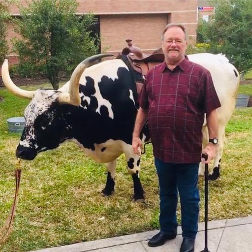 User profile photo