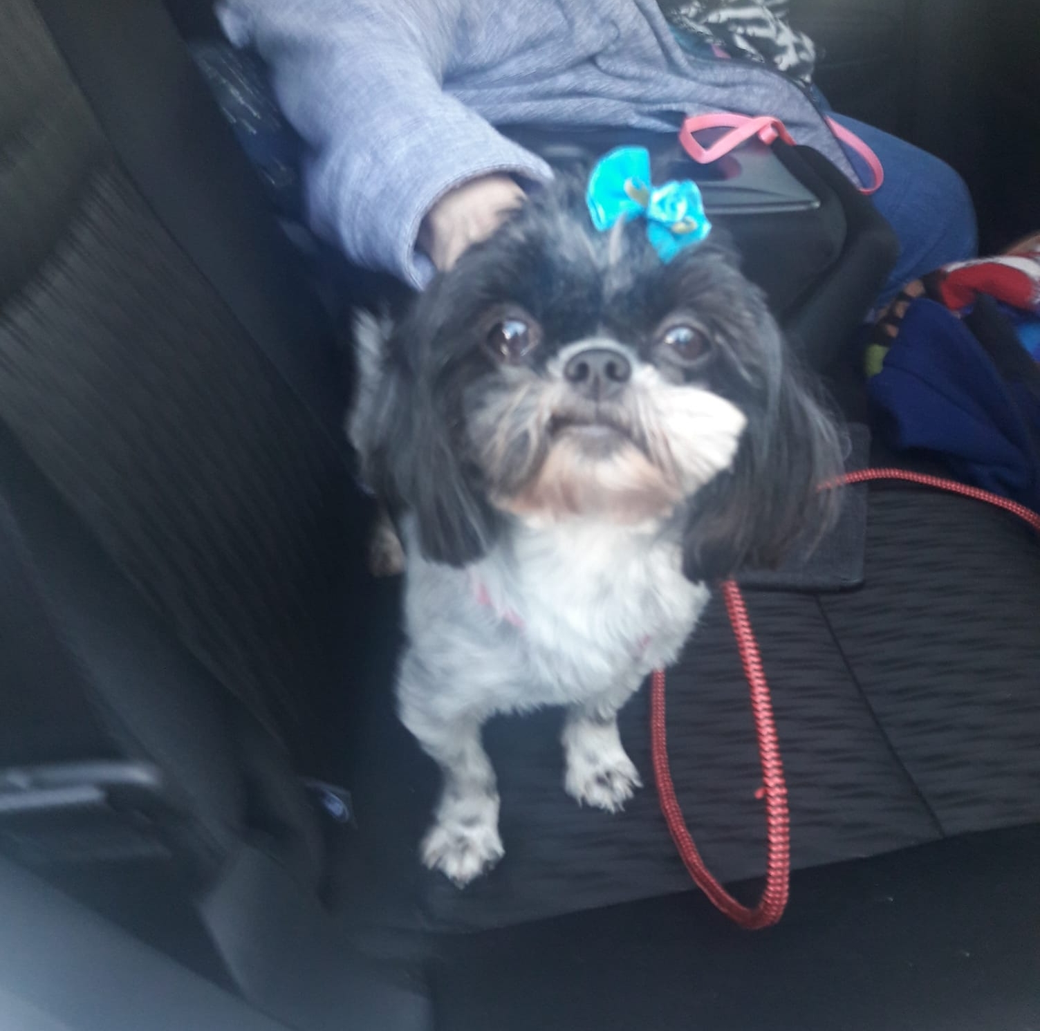 Picture of Cheryl Olson