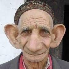 User profile photo