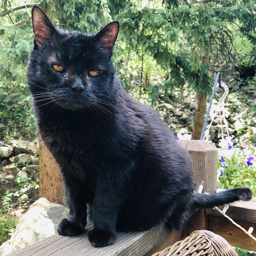 Picture of Tara Ackerman