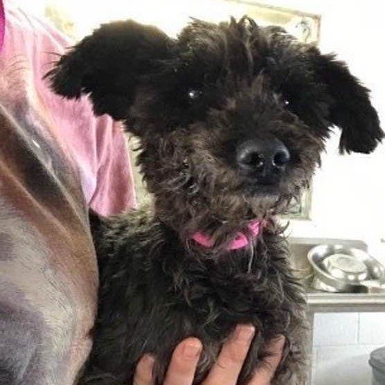 Picture of Maria Villamizar Tärre