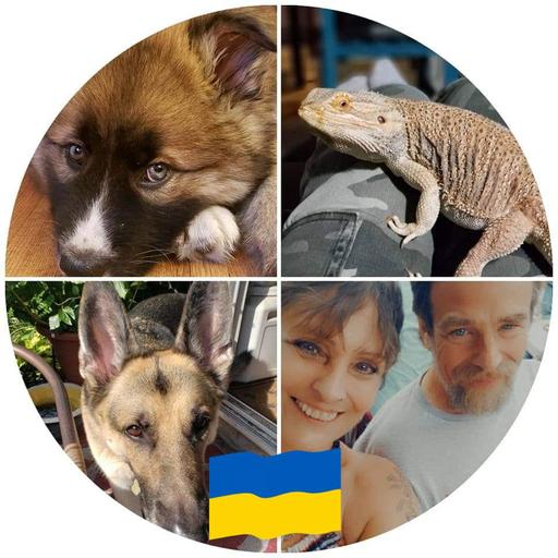 User profile photo