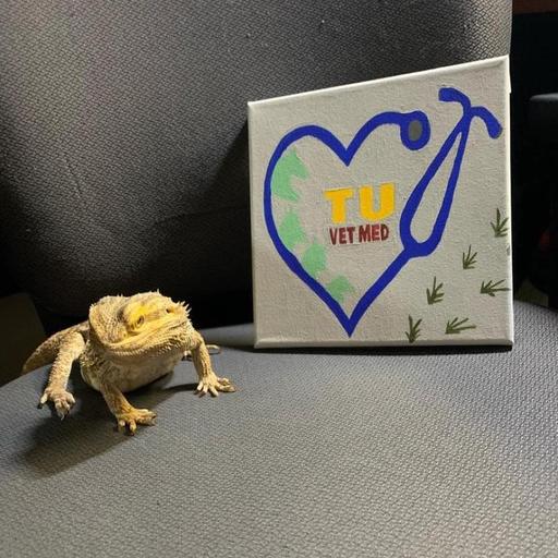 User profile photo