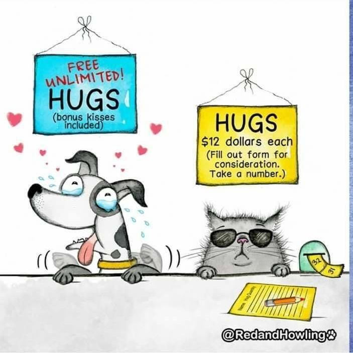 Picture of Mary Stafford