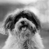 Picture of linda centkowski