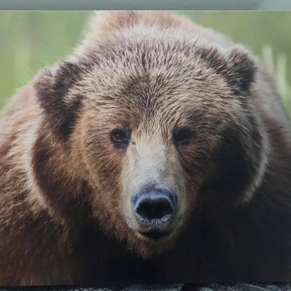 Picture of Michael Aguilera