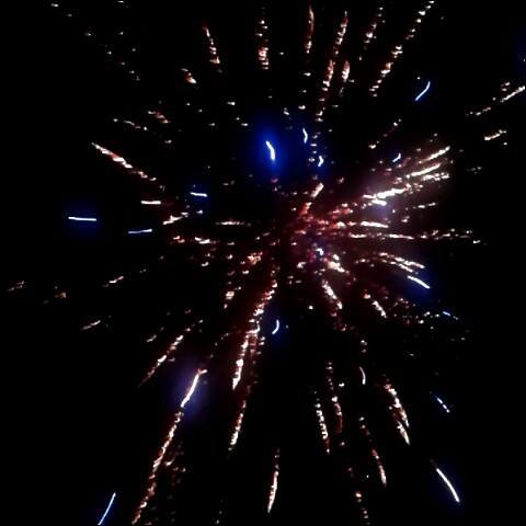 Picture of Patricia Ragland