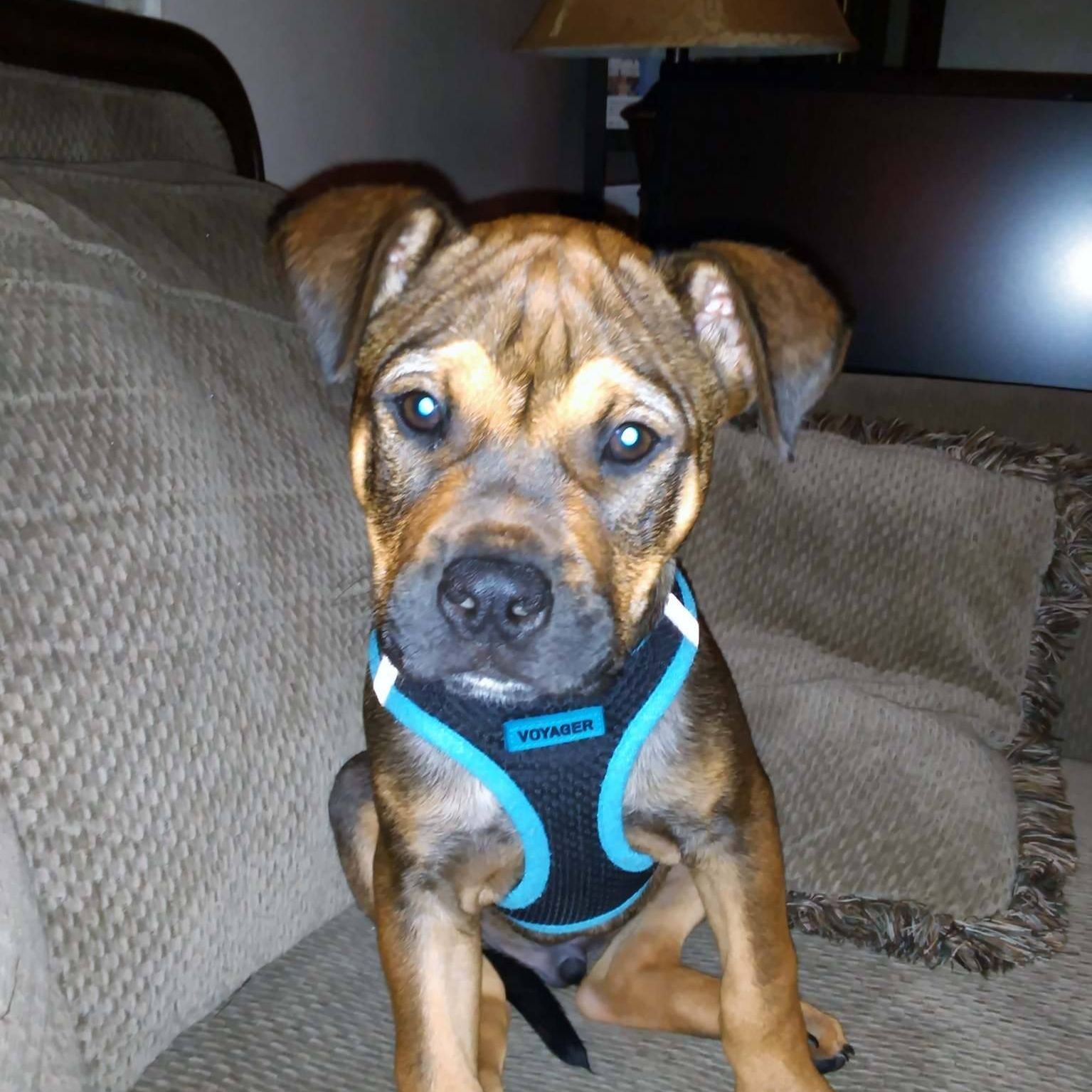 Picture of Darlene Lang