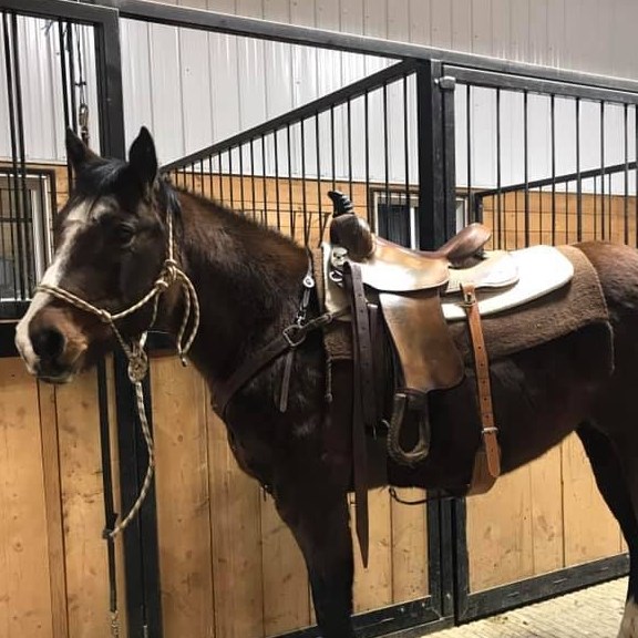 Picture of Beth Cadrain