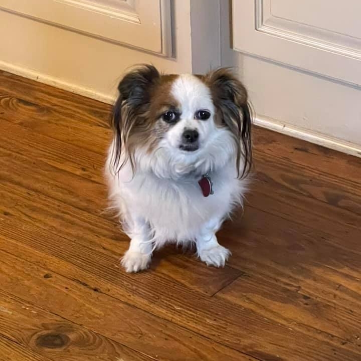 Picture of Cindy Cockrill