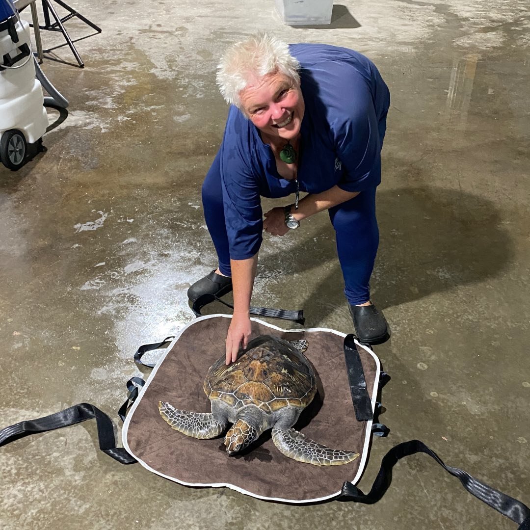 Picture of Tania Rossiter