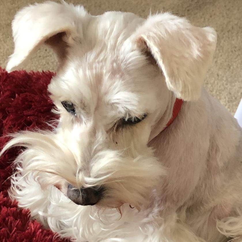 Picture of Patricia Newman