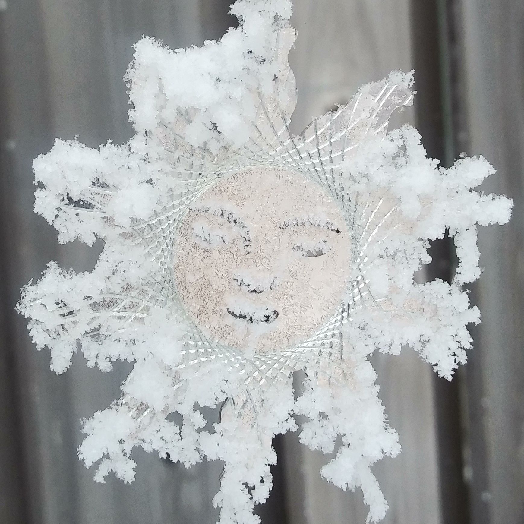 Picture of Jennifer Joy