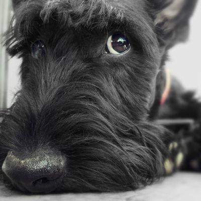 Picture of Camille Willman