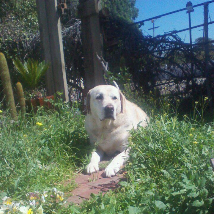 Picture of Corrie Babcock