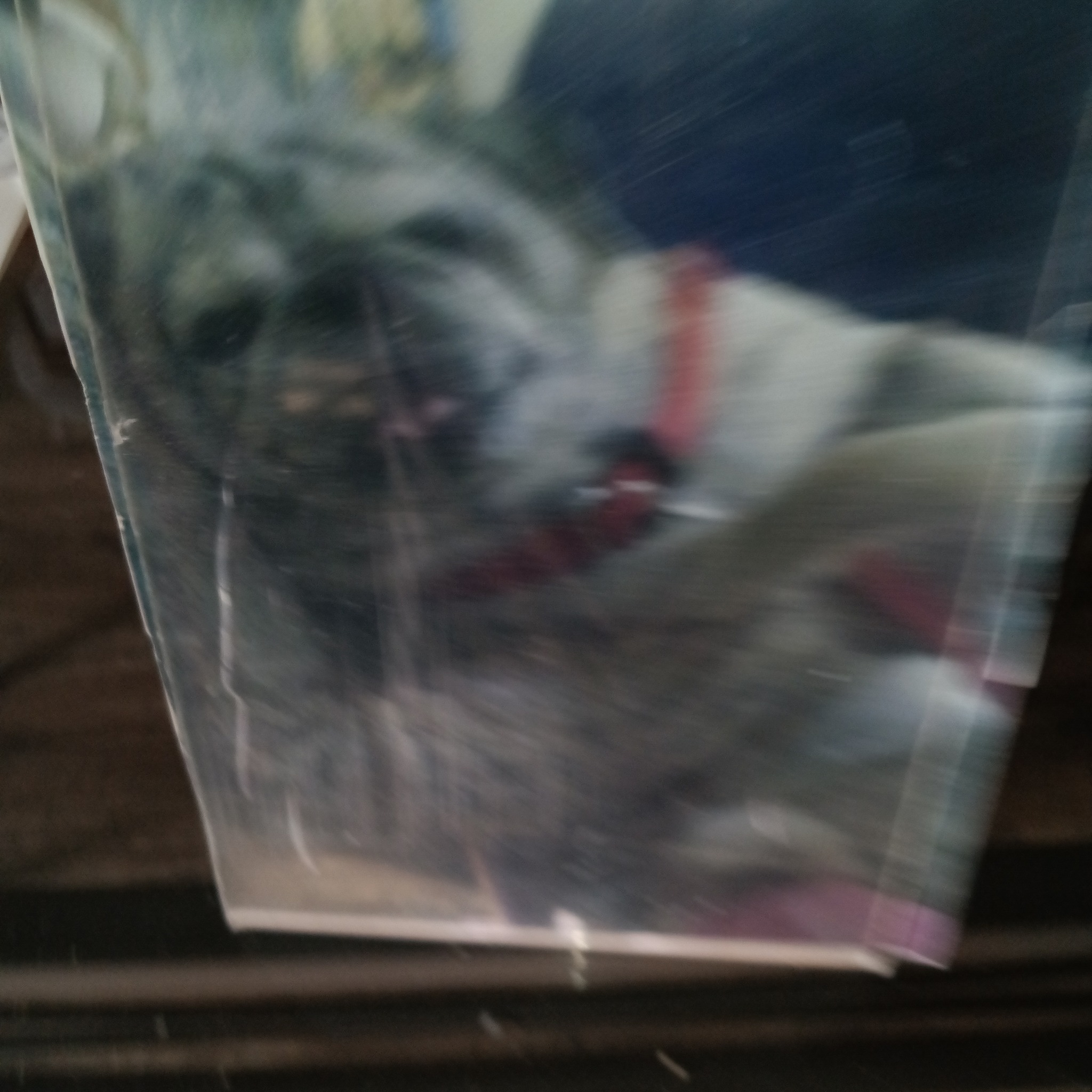 Picture of Rachel Naomi Dowling McDaniel