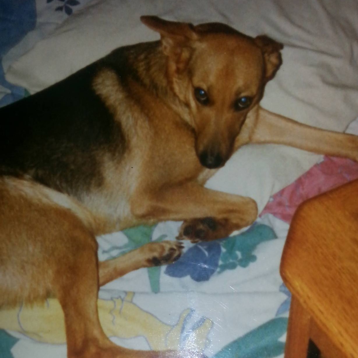 Picture of Alice Thornton