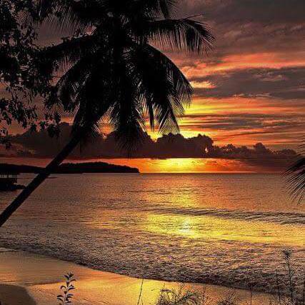 Picture of Tammy McGill