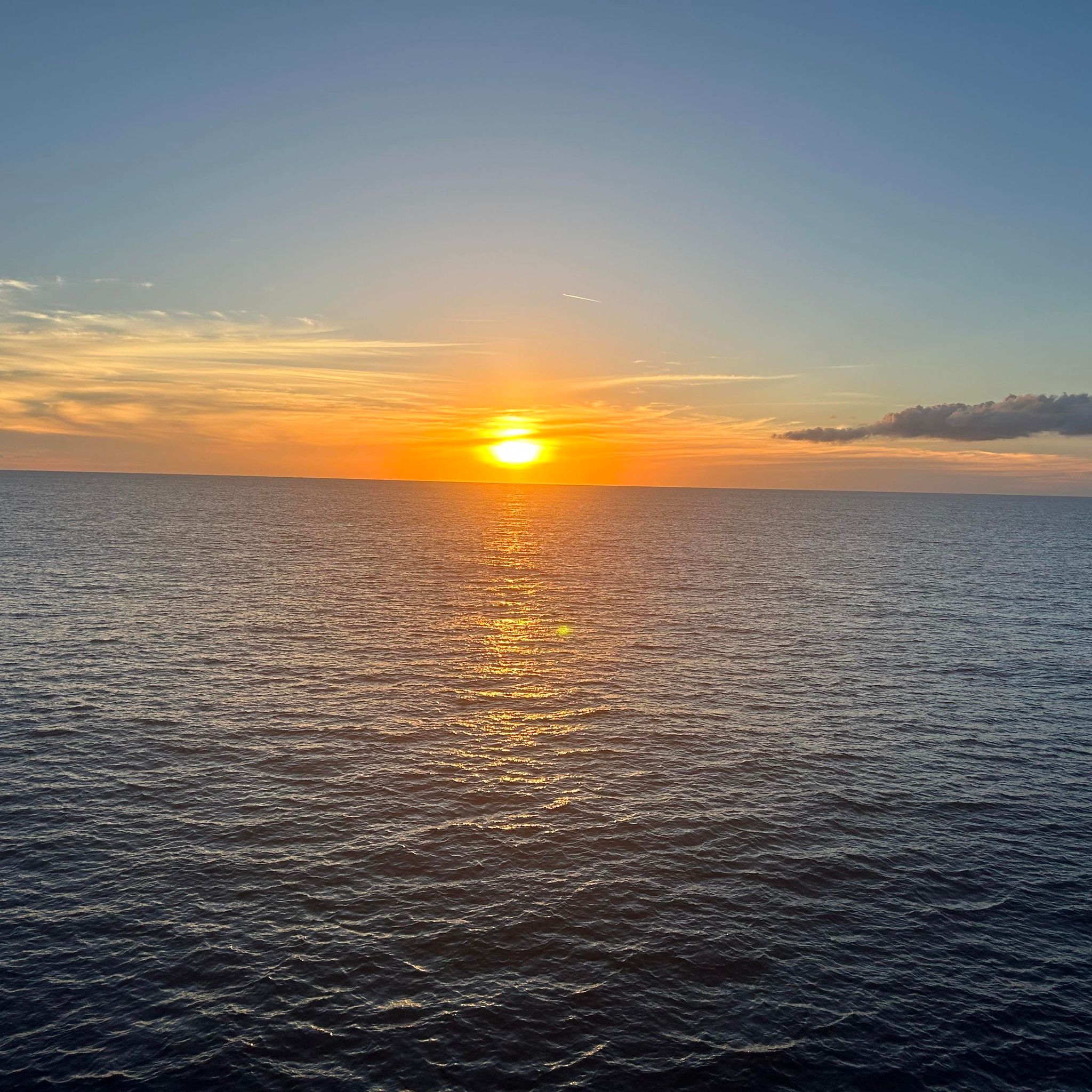 Picture of Allison Wray