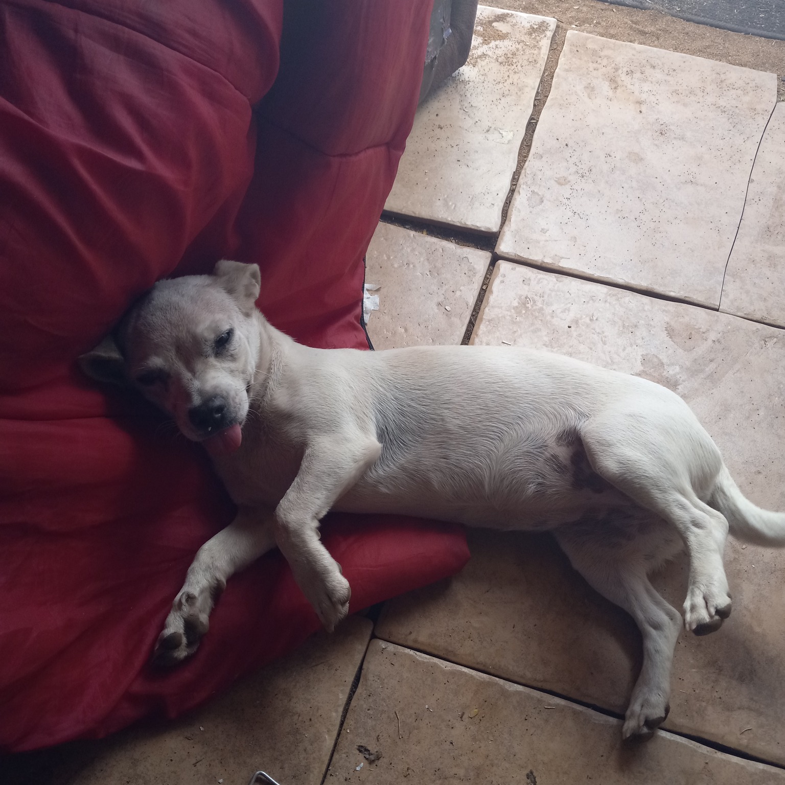 Picture of Reyna Breaux