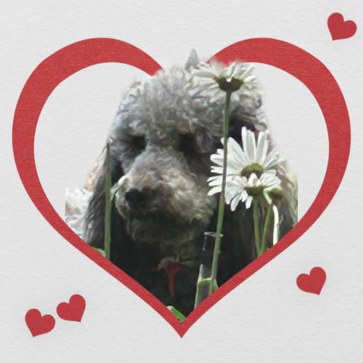 User profile photo