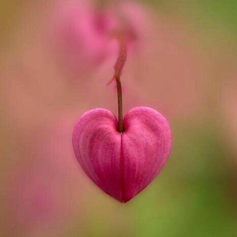 Picture of Oscar Mijango