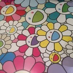 Picture of Regis Shields