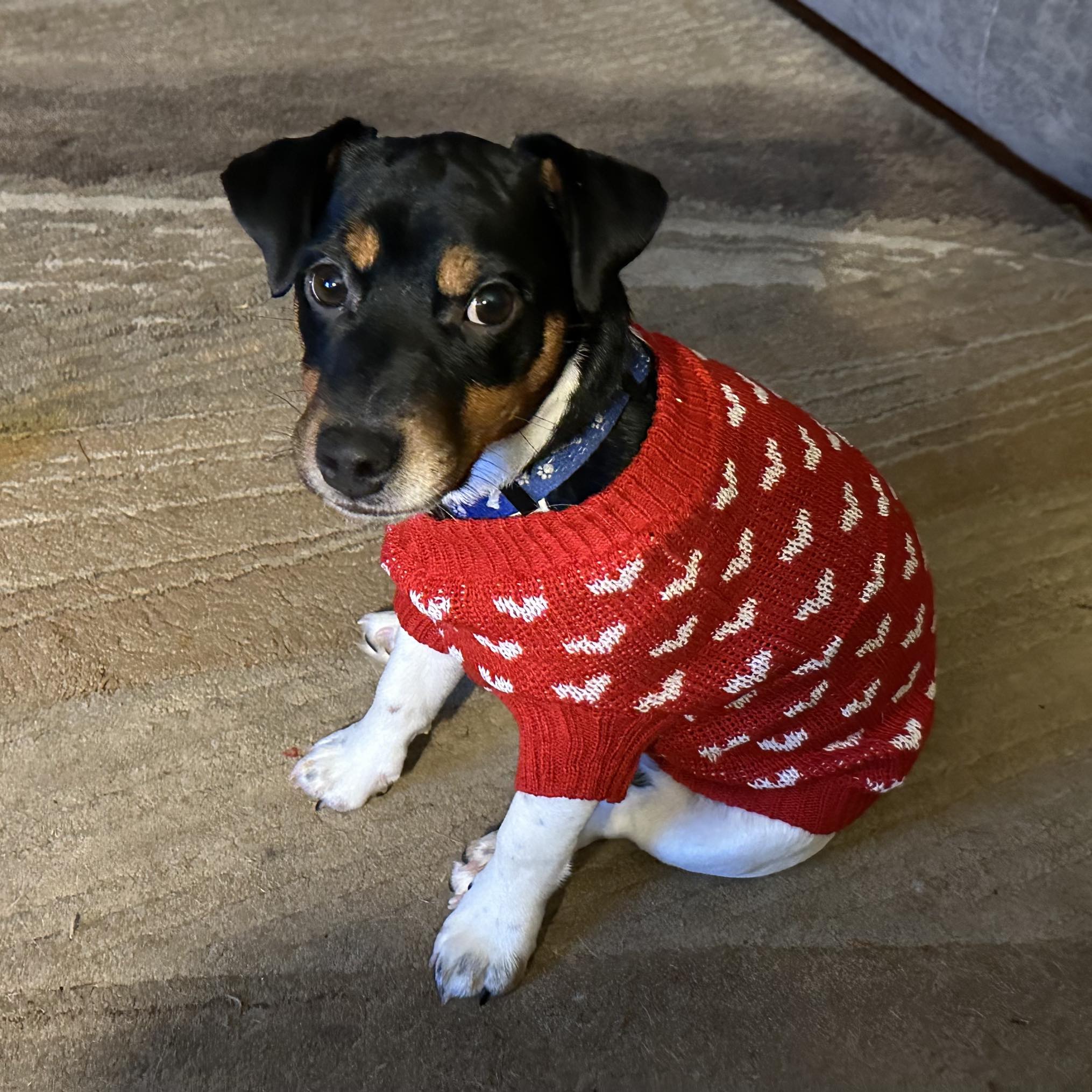 Picture of Marilyn Tyner