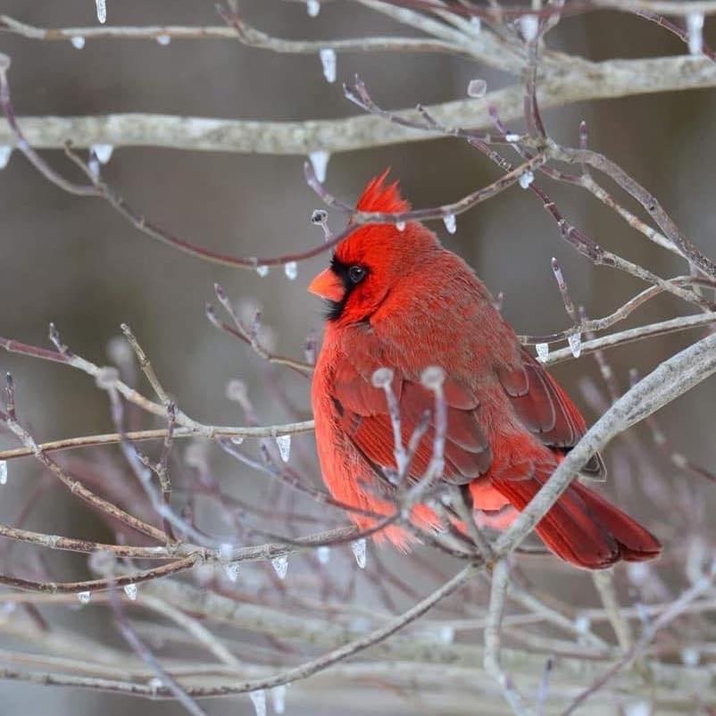 Picture of Kandy Agee