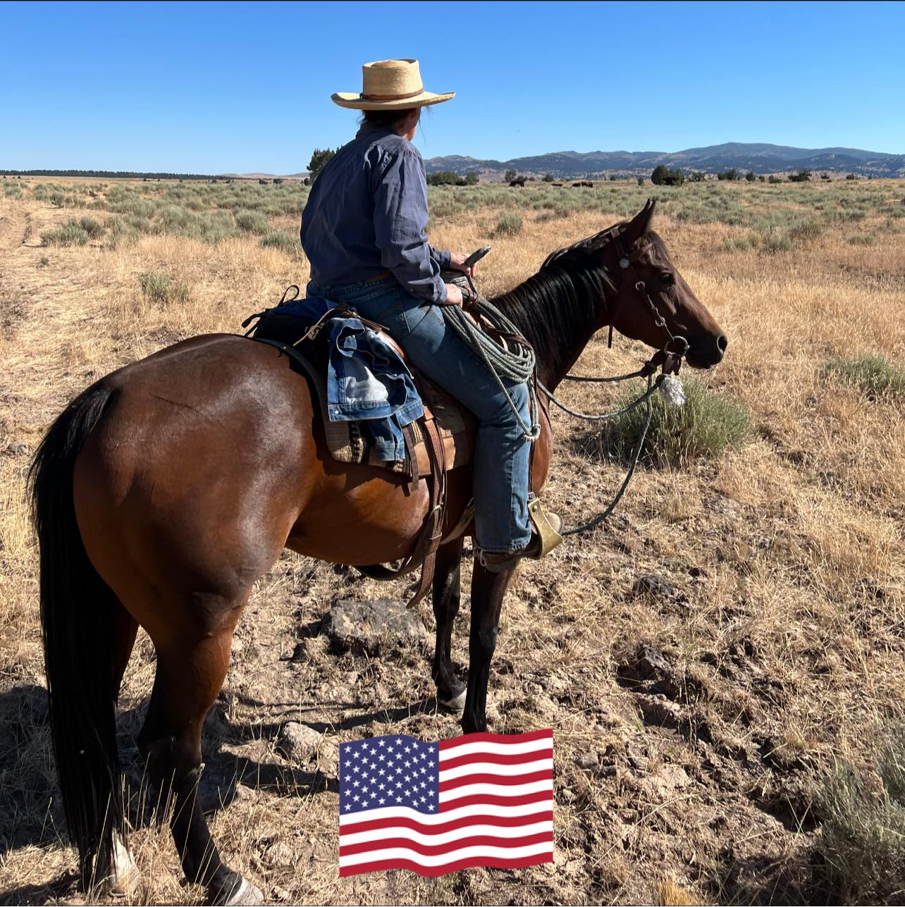 Picture of Melissa Jayo