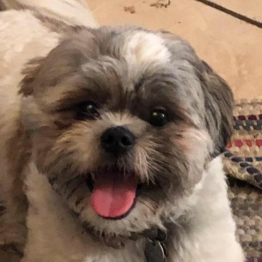 User profile photo