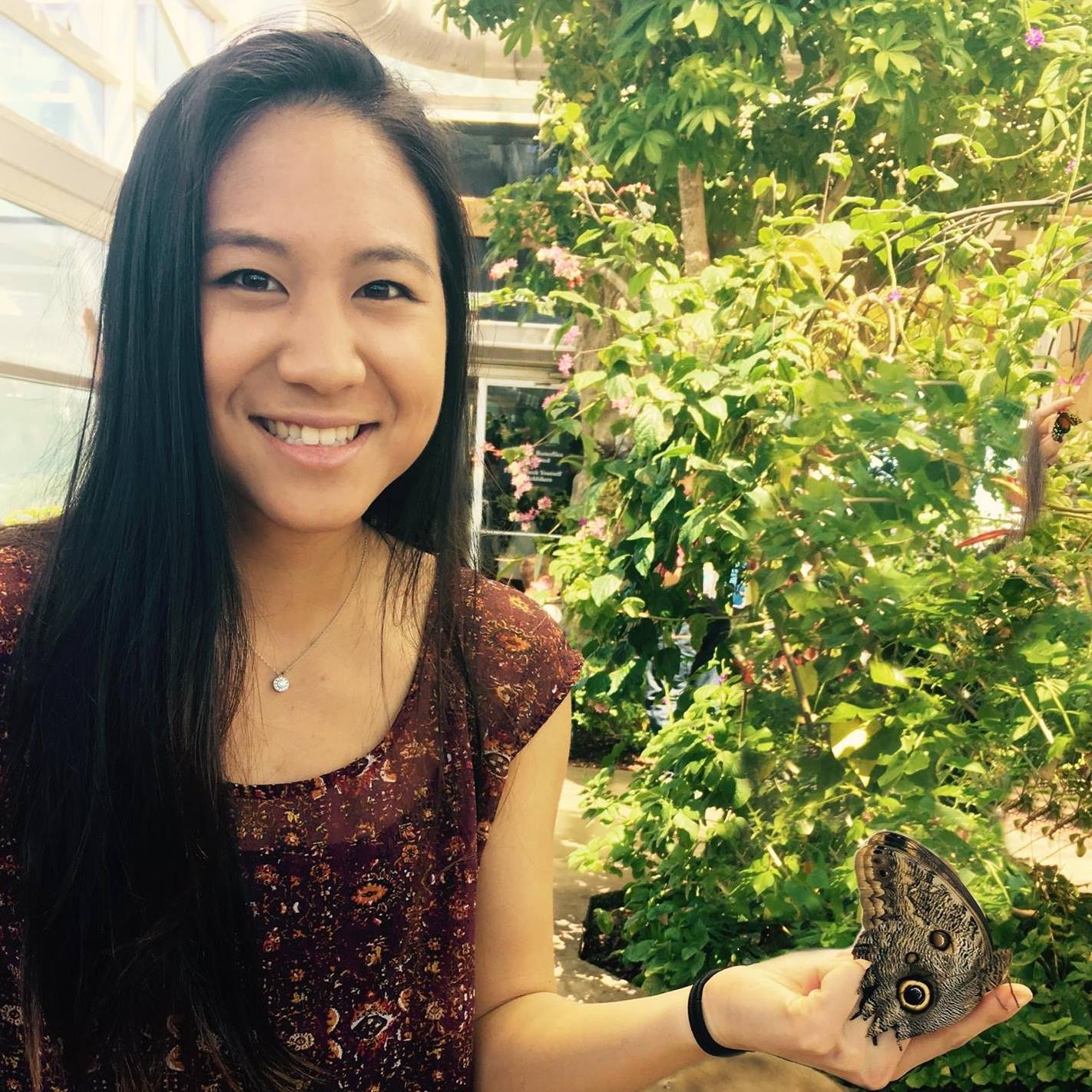 Picture of Allison Liang