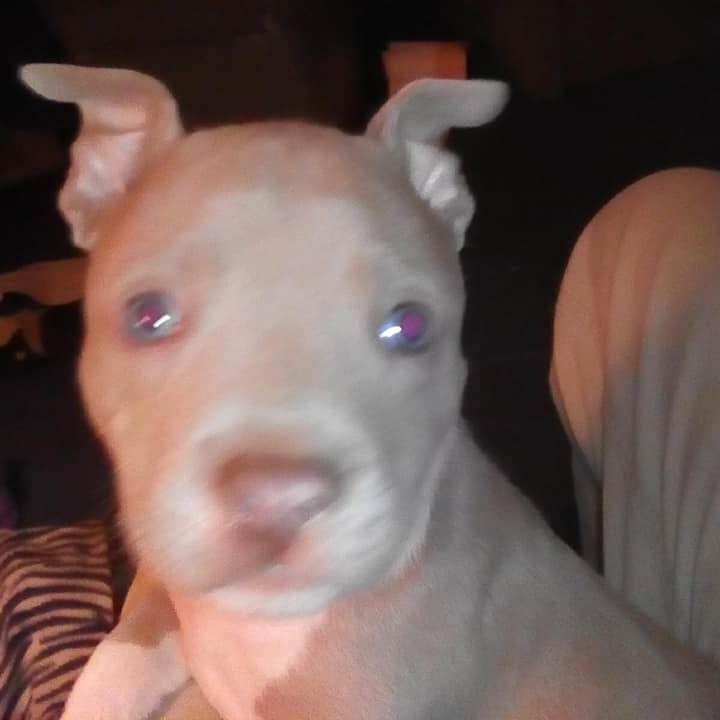 Picture of Christina Anderson