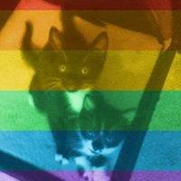 User profile photo