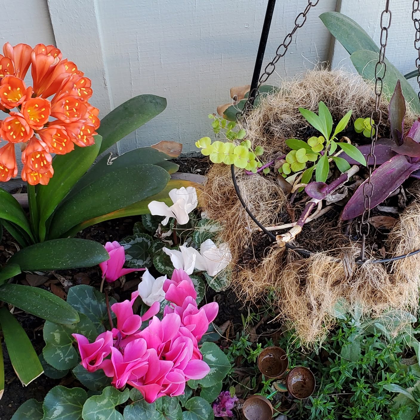 Picture of Theresa Taylor