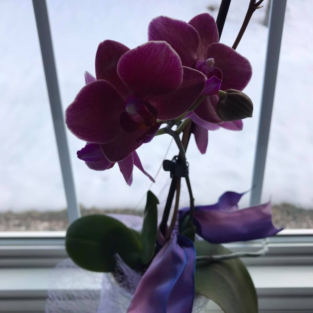 Picture of Karen Bihr