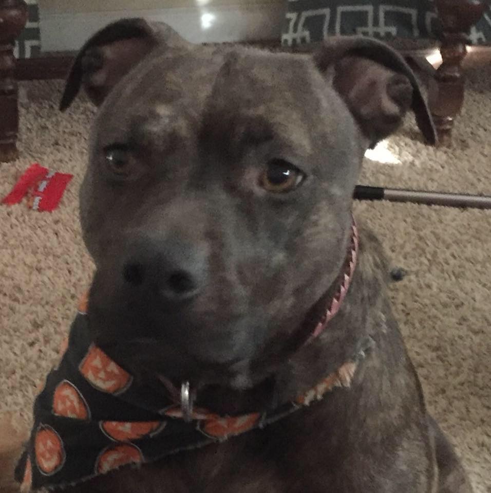 Picture of Neal Long