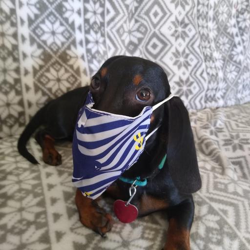 User profile photo