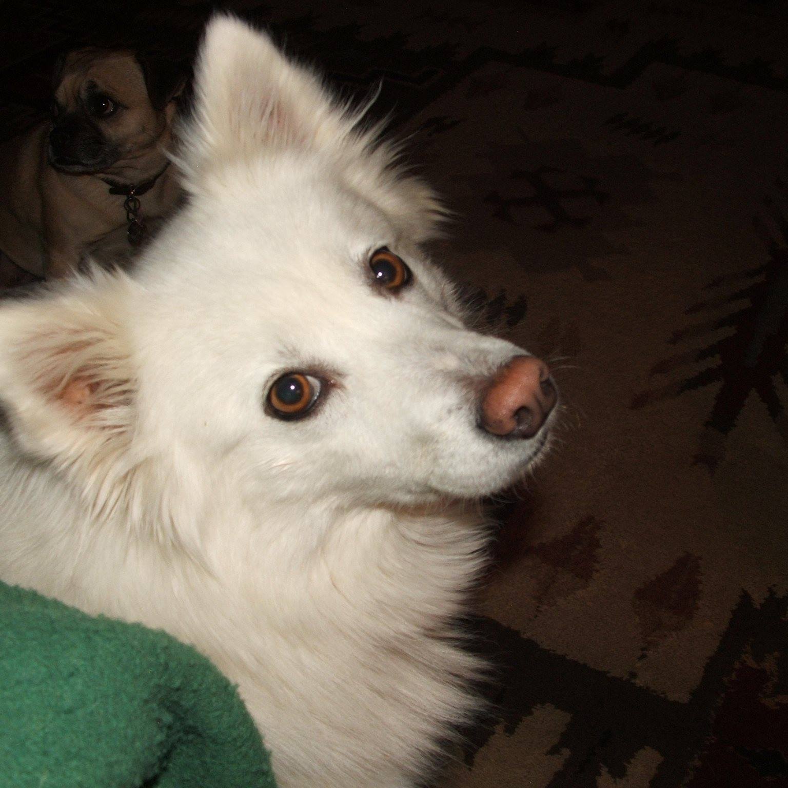 Picture of Rita Affleck