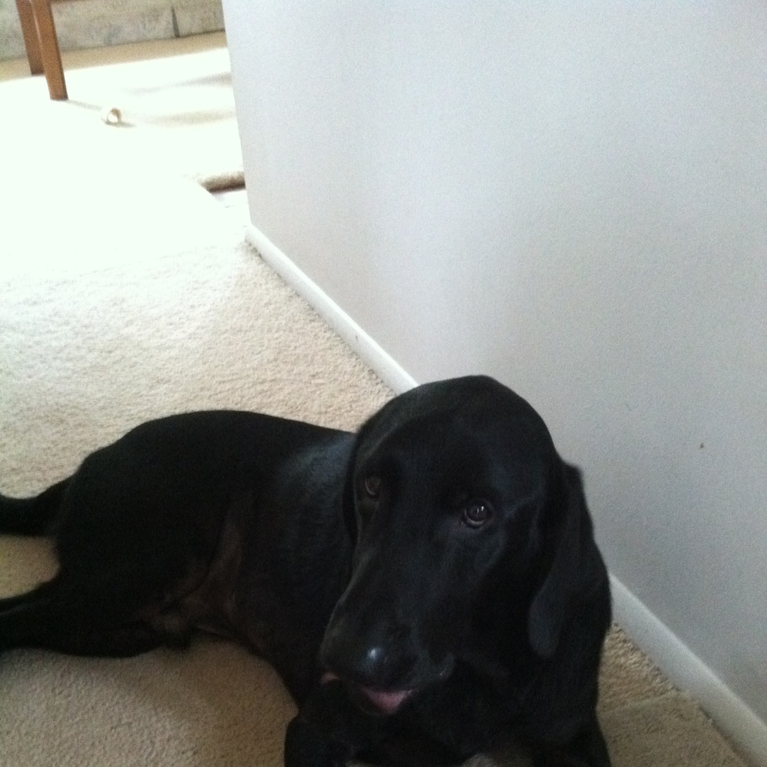 Picture of Chuck Iten