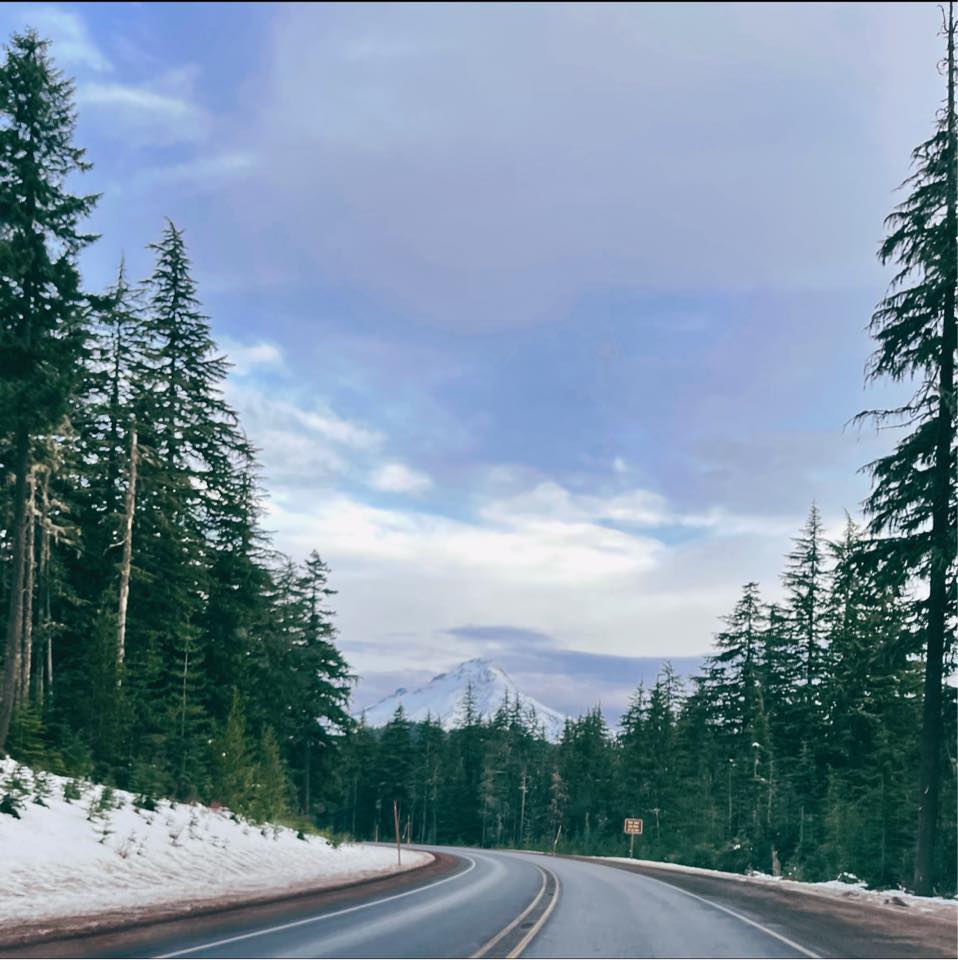 Picture of Kim Fox-Moran