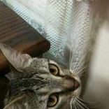 Picture of Marlene Miller