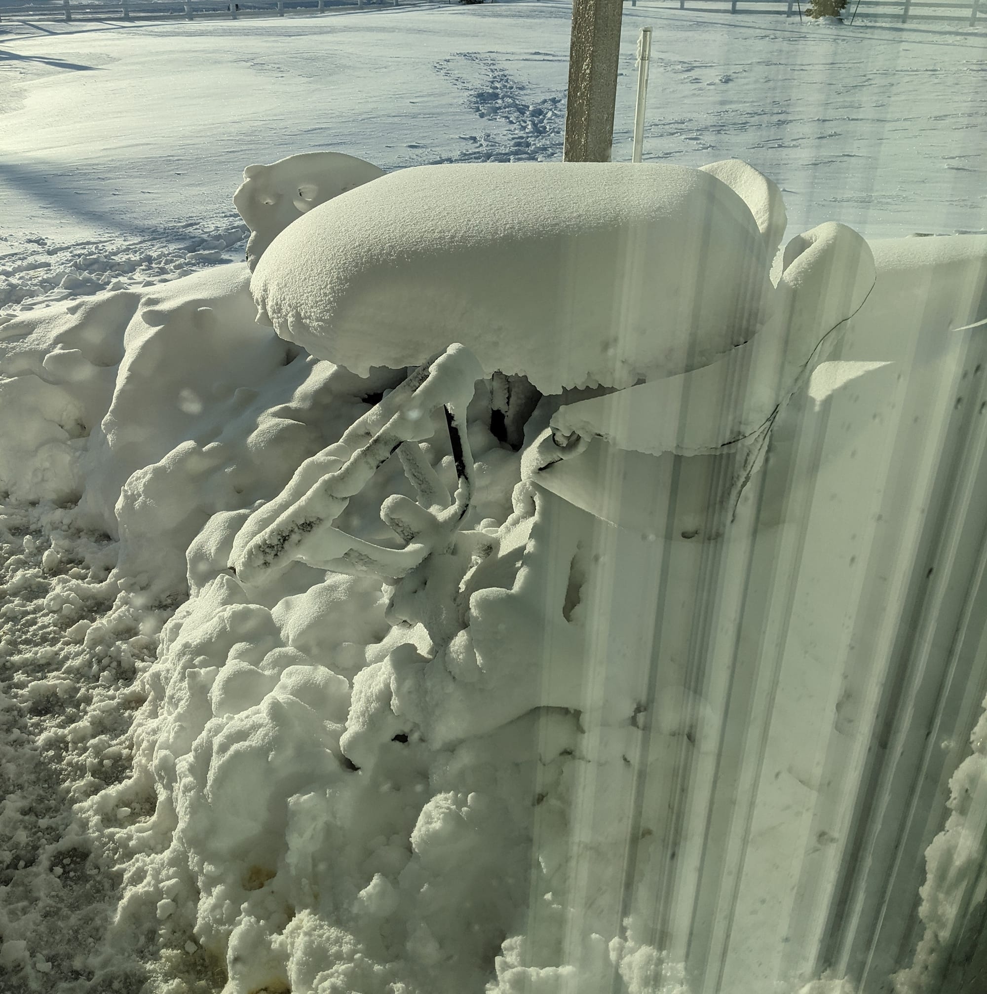 Picture of Caren, George & Chris Jackson