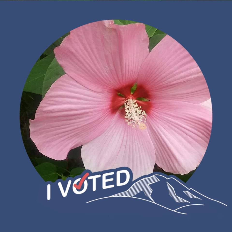 Picture of Nicole Koscierzynski