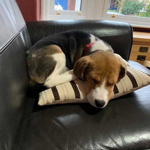 user profile icon inside a circle