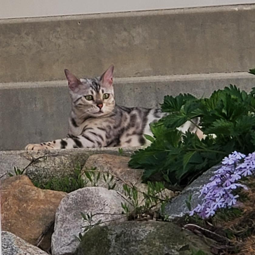 Picture of Sherri Squire