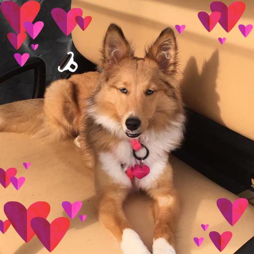 User profile photo